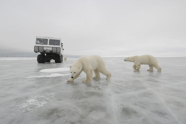 Where to go in October for wildlife and nature