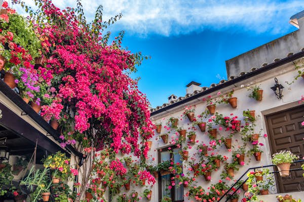 Where to see the most incredible spring flower displays in Europe