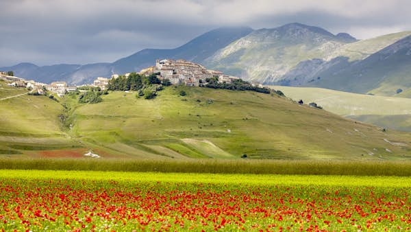 Where to see the world’s most beautiful flowers on your travels