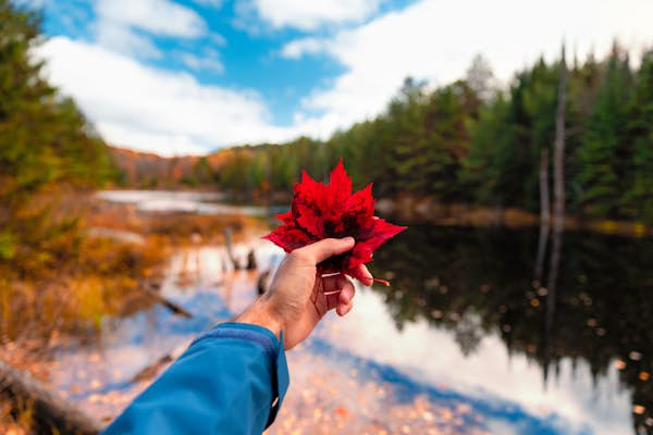 Wow them with photos – your guide to this year’s most vivid fall colors outside of Toronto