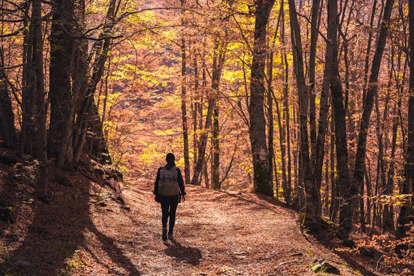 You’ve probably never been to…Italy’s Abruzzo National Park. Here’s why you should