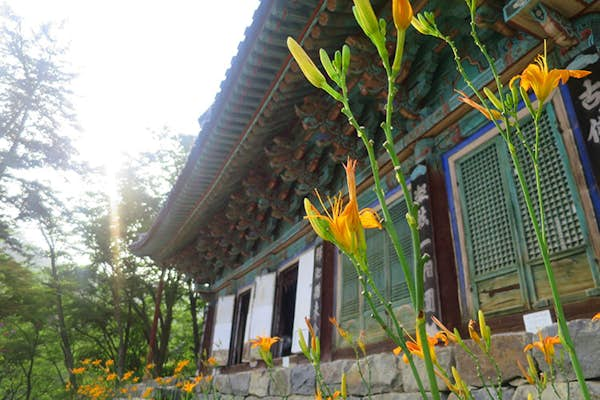 Zen retreat: a beginner’s guide to Korean temple stays