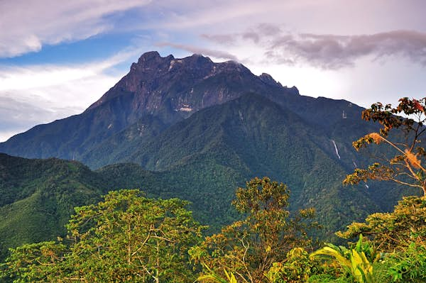 Climbing Mt Kinabalu, Borneo’s biological treasure trove