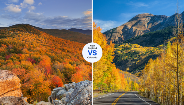 New England maples vs Colorado aspens: which US region has better fall foliage?