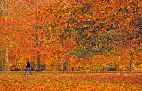 What’s on in London in autumn