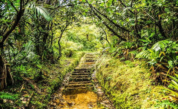 A first-time guide to Dominica