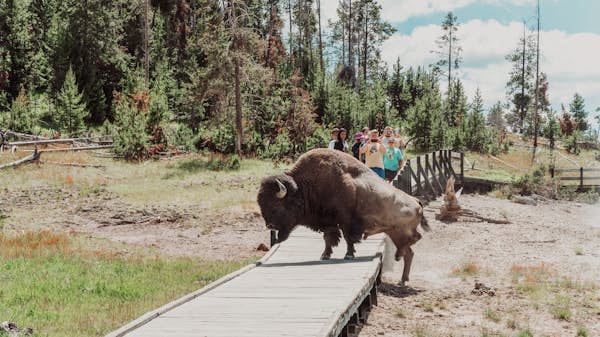 These 4 day trips from Jackson Hole reveal glorious nature and a Wild West vibe