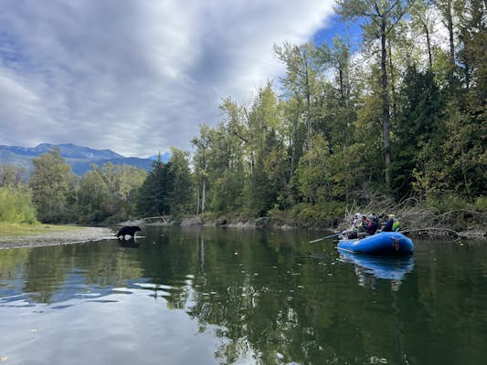 Copy my trip: Great Bear Rainforest