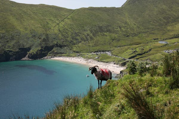 13 stunning Irish islands to add to your itinerary