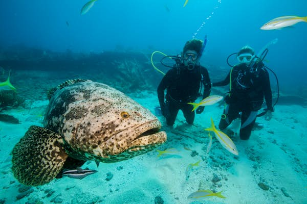 7 of the best scuba diving destinations in the USA