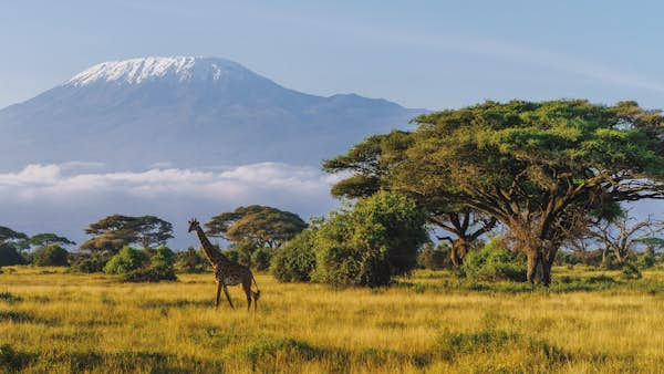 A first-time guide to East Africa