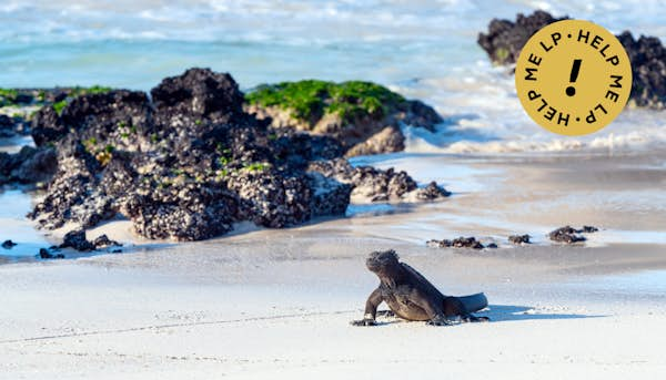 Everything you need to know about visiting the Galápagos Islands