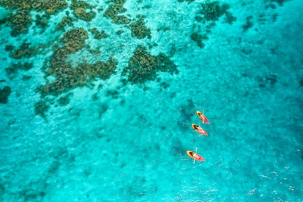 How to choose a South Pacific island diving destination