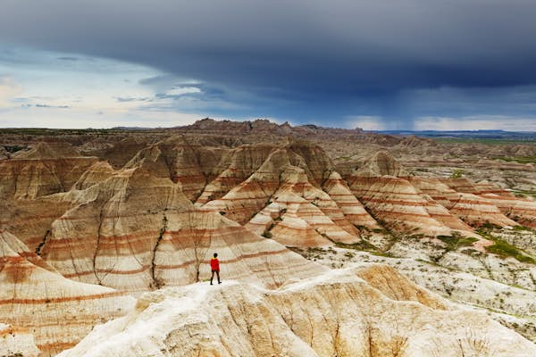 The 11 best places to see dinosaur and plant fossils in the US