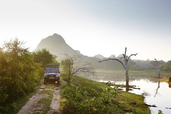 Where to go on safari in Sri Lanka