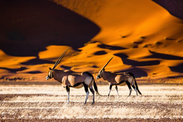 11 of the best places to visit in Namibia