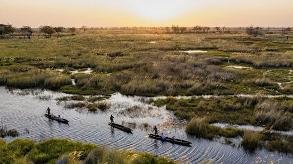 A first-time guide to Botswana